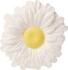 Oli Carol Bidering - Margarita The Daisy
