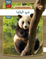 Panda - Arabisk