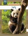 Panda - Pashto