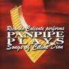 Ricardo Caliente - Panpipes Plays Songs Of Celine Dion - 