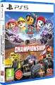 Paw Patrol Rescue Wheels Championship