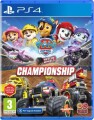 Paw Patrol Rescue Wheels Championship