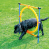 Pawise - Agility Ring Ø 55Cm