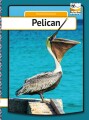Pelican - My First Book - 