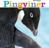 Pingviner