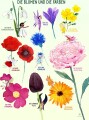 Plakat - Farverne Og Blomsterne - Str 50X70 Cm - De - 1 Stk
