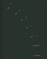 Poetic Daylight Poetisk Daglys