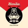 Blondie - Pollinator - 