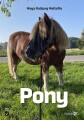 Pony - 