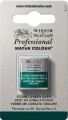 Winsor Newton - Akvarelfarve 12 Pan - Cobalt Green Deep
