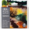 Winsor Newton - Professional Watercolour - Rich Earth - 6X5 Ml
