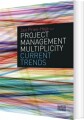 Project Management Multiplicity - 