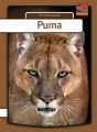 Puma - 