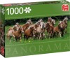 Jumbo - Puslespil Med 1000 Brikker - Heste På Græsmark