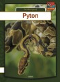 Pyton - 