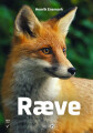 Ræve