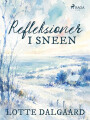 Refleksioner I Sneen