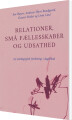 Relationer Små Fællesskaber Og Udsathed