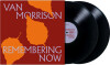 Van Morrison - Remembering Now
