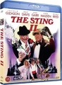 Rent Bluff The Sting 2 - 
