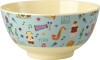 Rice - Melamine Bowl With Blue Music Band Print - Mint Green - Small - 300