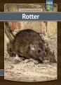 Rotter - 
