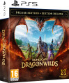 Runescape Drangonwilds Deluxe Edition