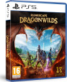 Runescape Drangonwilds