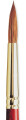 Winsor Newton - Sceptre Gold Pensel - Serie 101 - Str 7