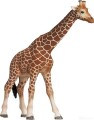 Schleich Giraf Hun - 14320