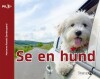 Se En Hund