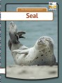 Seal - 