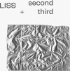 Liss - Second Third Ep