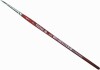 Senator Pensel 2 - A 236002 - Leonhardy