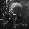 Bob Dylan - Shadow Kingdom - 