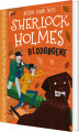 Sherlock Holmes 12 Blodbøgene