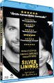 Silver Linings Playbook - 