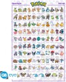 Sinnoh Pokemon Poster - 915 X 61 Cm