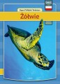 Skildpadder - Polsk