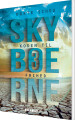 Skyboerne 3