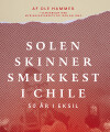 Solen Skinner Smukkest I Chile