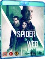 Spider In The Web - 