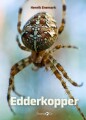 Spil Læs - Edderkopper