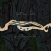 Animal Collective - Spirit They Re Gone Spirit They Ve Vanished