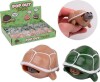 Squeeze N Pop Skildpadde