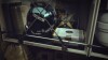 Starfield Premium Edition