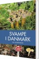 Svampe I Danmark - 