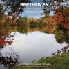 Beethoven - Symphony No 5 - 