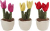 Take Me Home - Plys Tulipan Plante - 1 Stk - Assorteret