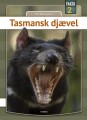 Tasmansk Djævel - 